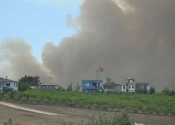 Adana’da orman yangını: Yangın söndürme uçağı düştü, iki pilot yaralandı