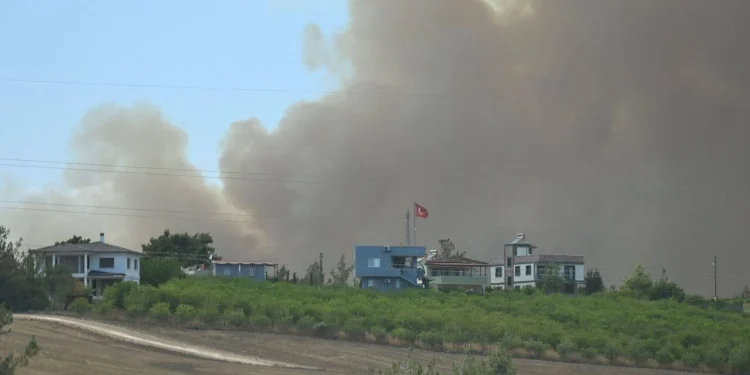Adana’da orman yangını: Yangın söndürme uçağı düştü, iki pilot yaralandı