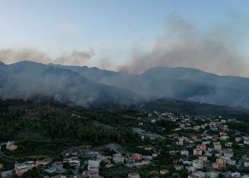 Hatay Dörtyol’da dün çıkan orman yangınına müdahale sürüyor