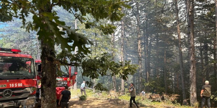 Bursa’nın 2 ilçesinde çıkan orman yangınına müdahale ediliyor