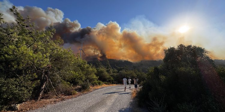 İzmir’in Urla ilçesinde orman yangını