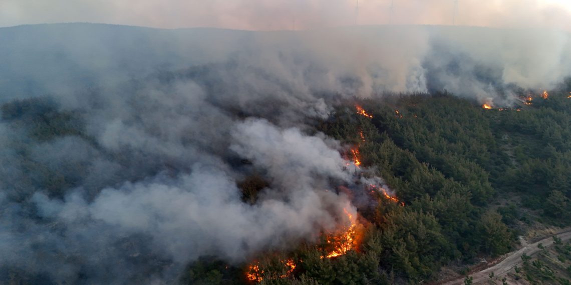 Tekirdağ’da orman yangını: Gelibolu’ya sıçradı, bazı köyler tahliye edildi