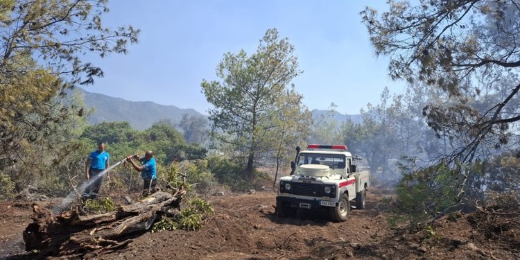 Cahitoğlu: Yapılan hızlı müdahale ile yangın kontrol altına alındı