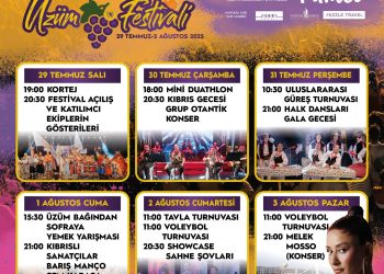 63. Geleneksel Mehmetçik Üzüm Festivali yarın başlıyor 