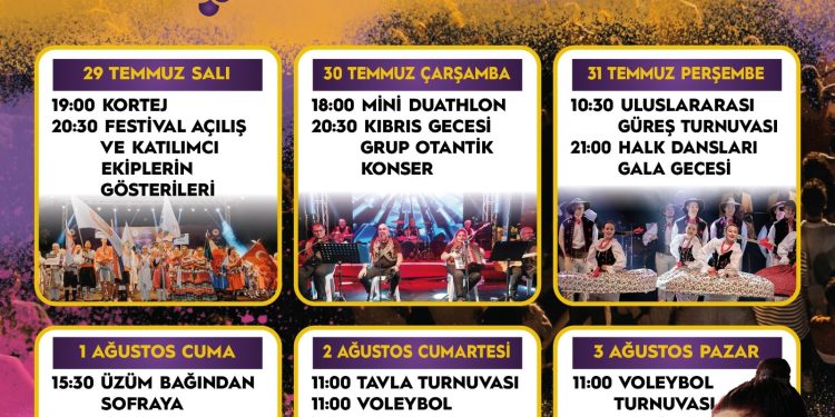 63. Geleneksel Mehmetçik Üzüm Festivali yarın başlıyor 