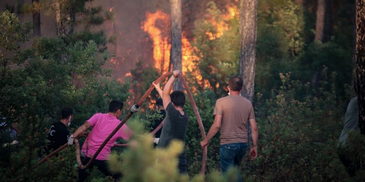 Türkiye’de orman yangınları: Bursa yangınlarında dört kişi hayatını kaybetti