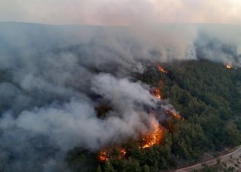 Tunç: “Orman yangınlarıyla ilgili 39 kişi tutuklandı”