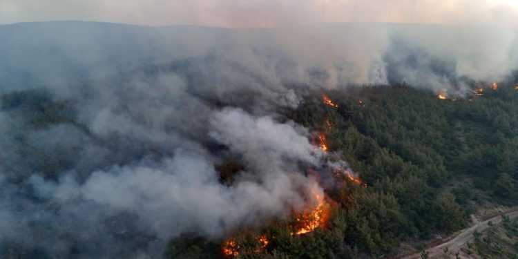 Tunç: “Orman yangınlarıyla ilgili 39 kişi tutuklandı”