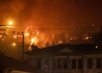 Sakarya ve Bilecik’te orman yangınlarına müdahale ediliyor