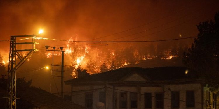 Sakarya ve Bilecik’te orman yangınlarına müdahale ediliyor