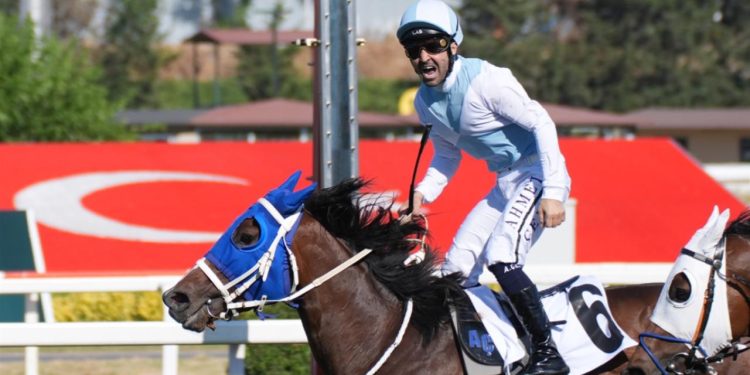 99. Gazi Koşusu'nu jokeyliğini Ahmet Çelik'in yaptığı 'Cutha' kazandı