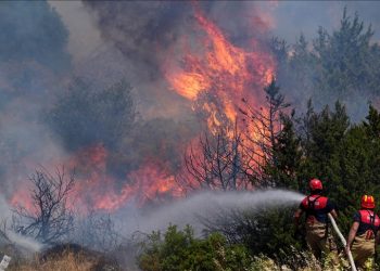 İzmir’in Buca ilçesindeki orman yangınına müdahale ediliyor