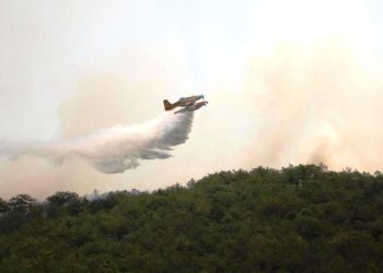 Türkiye, orman yangınlarıyla mücadeleye devam ediyor