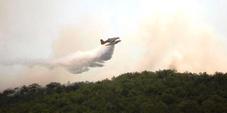 Türkiye, orman yangınlarıyla mücadeleye devam ediyor