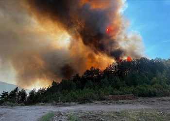 Balıkesir’de çıkan orman yangınına müdahale ediliyor