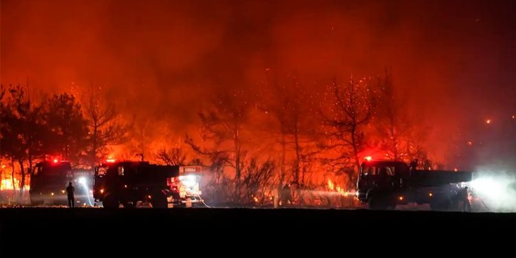 Türkiye’nin ciğerleri yanıyor. Yangınlarla mücadele devam ediyor