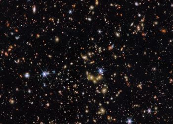 Uzayda sağlıklı nesiller mümkün mü?