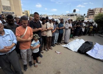 Katil İsrail 5'i çocuk 24 Filistinliyi daha katletti