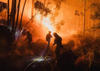 İspanya'da geçen yıla göre bu yıl 10 kat fazla ormanlık ve kırsal alan yandı