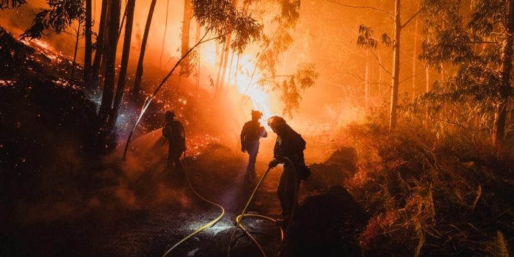 İspanya'da geçen yıla göre bu yıl 10 kat fazla ormanlık ve kırsal alan yandı