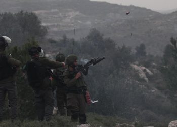 İşgalci İsrail Filistinlilerin ağaçlarına da göz dikti