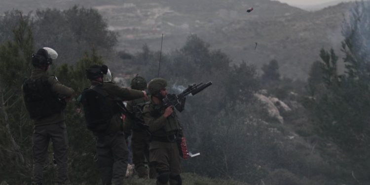 İşgalci İsrail Filistinlilerin ağaçlarına da göz dikti