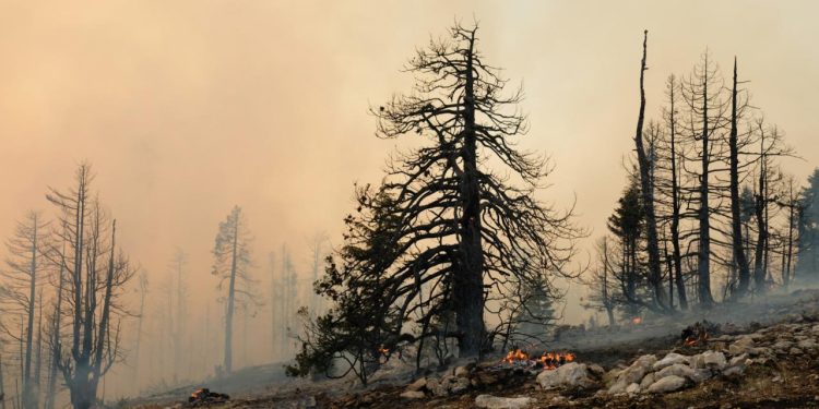 Avrupa Birliği kayıtlardaki en kötü yangın sezonuyla karşı karşıya
