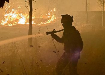 İspanya'da bu yıl içinde 344 bin hektardan fazla alan yandı