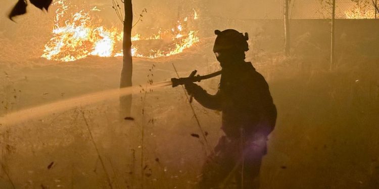 İspanya'da bu yıl içinde 344 bin hektardan fazla alan yandı