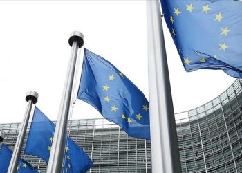 AB'den hava sahasını ihlal eden Rus İHA'larını düşürdüğünü açıklayan Polonya'ya destek