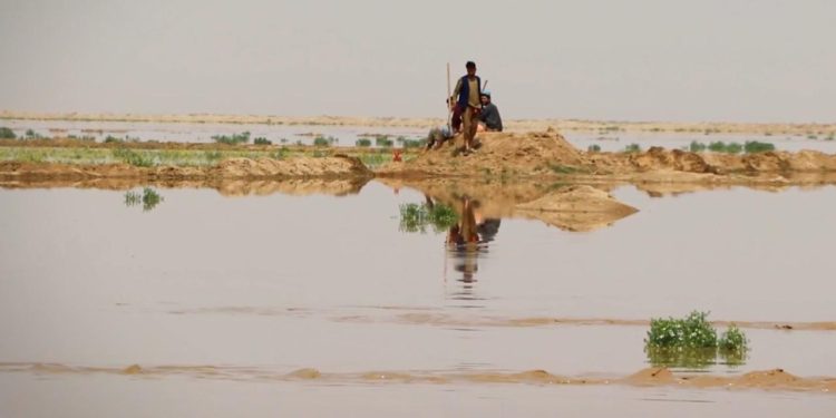 BM: Afganistan'daki deprem bölgedeki su sıkıntısını daha da kötüleştirdi