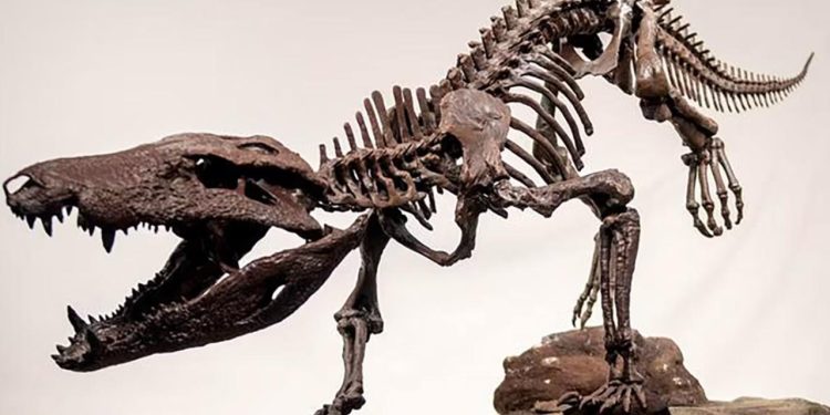 Dinozorlarla beslenen bir timsah keşfedildi