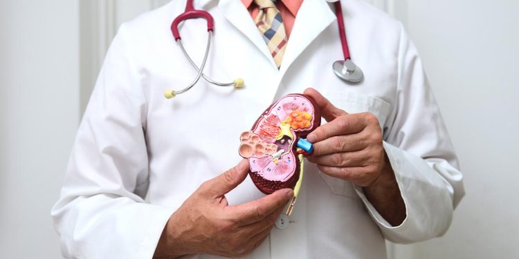 Tıp tarihinde bir ilk: Böbrekleri kurtaracak MikroRNA buldu