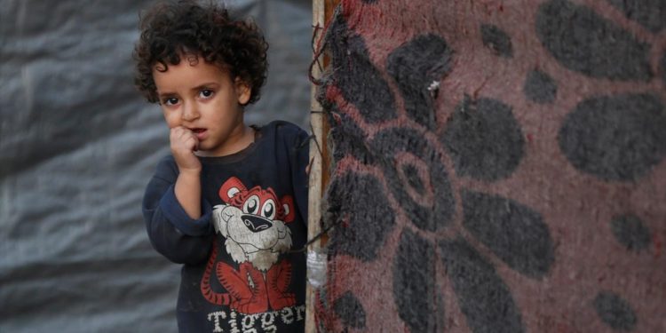 Gazze Şeridi'ndeki çadırların yüzde 93'ü barınmaya uygun değil