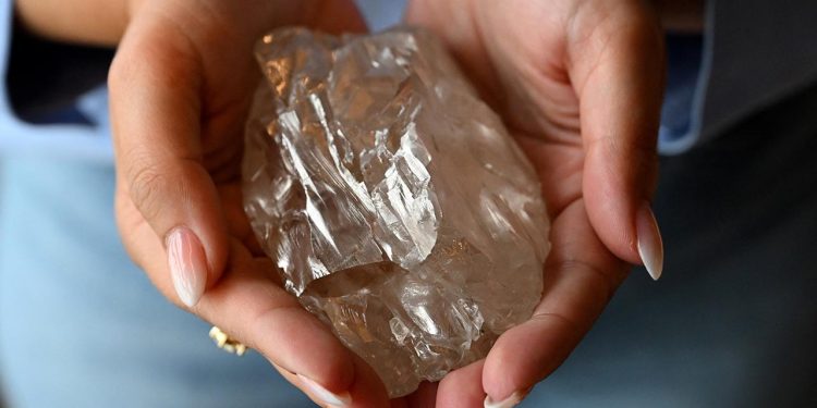 Dünyanın en büyük elması için fiyat belirleniyor