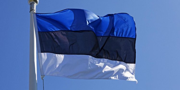 Estonya, Rus savaş uçaklarının hava sahasını ihlal ettiğini duyurdu
