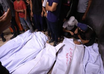 Gazze'deki Sağlık Bakanlığı: İsrail, Gazze kentinde 20 günde 1100 Filistinliyi öldürdü