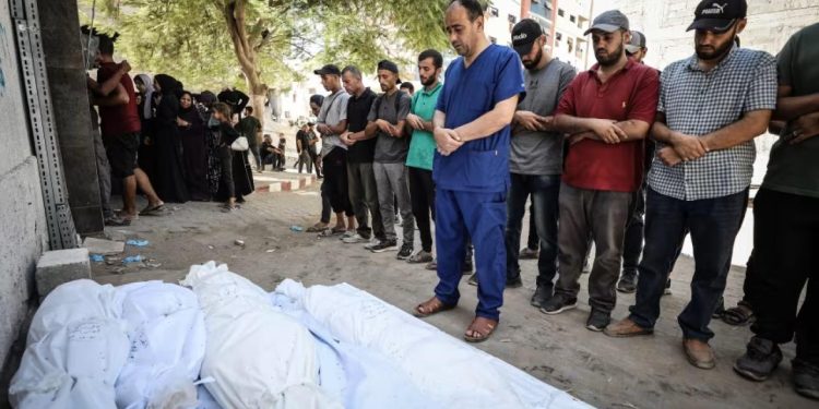 İsrail'in 7 ay alıkoyduğu Filistinli doktor, İsrail saldırılarında akrabalarını kaybetti