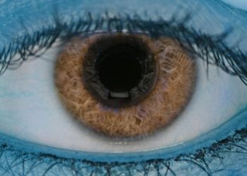 Mavi gözler aslında neden mavi değil?