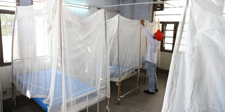 Hindistan'ın Kerala eyaletinde bu yıl beyin yiyen amipten 19 kişi öldü