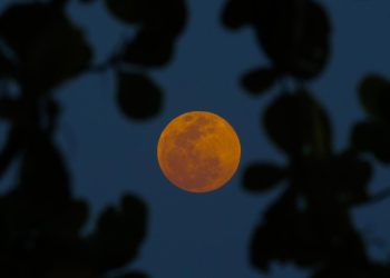 Dünya bu ay 82 dakikalık Kanlı Ay tutulmasına tanık olacak