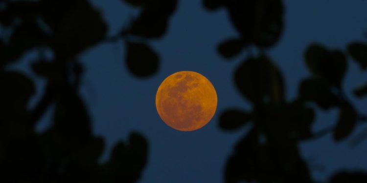 Dünya bu ay 82 dakikalık Kanlı Ay tutulmasına tanık olacak