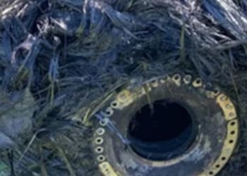 Arjantinde gizemli "uzay kapsülü" paniği