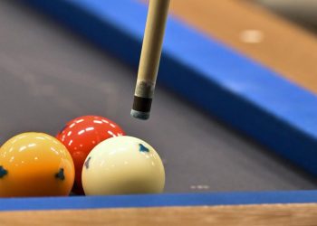 Milli bilardocular Hollanda'da biri altın 2 madalya kazandı