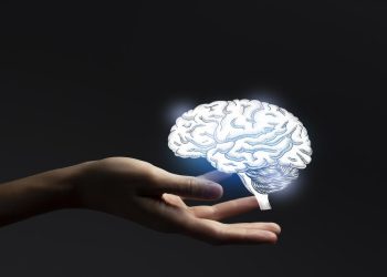 Beynimiz hangi yaşta zirveye ulaşıyor? Bilim insanları açıkladı