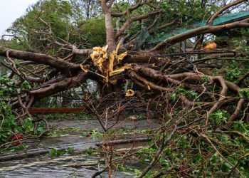 Vietnam'da etkili olan Bualoi Tayfunu'nda ölenlerin sayısı 29'a yükseldi