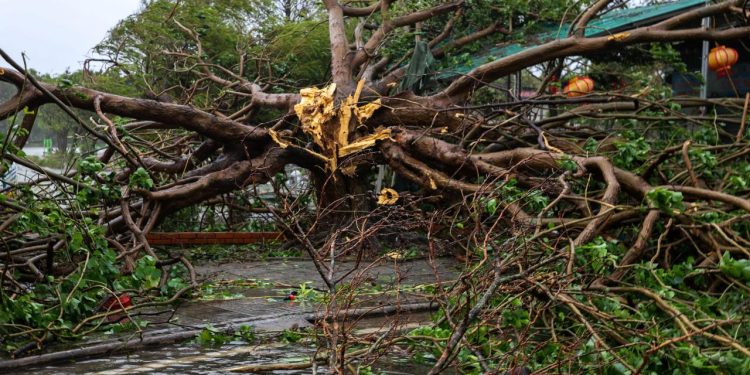 Vietnam'da etkili olan Bualoi Tayfunu'nda ölenlerin sayısı 29'a yükseldi