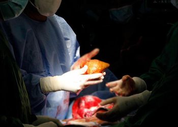 Çığır açan gelişme: Her kan grubuna uyumlu evrensel böbrek geliştirildi