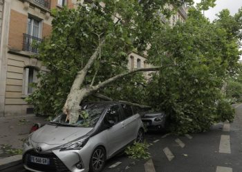 Fransa'da Benjamin Fırtınası nedeniyle başkentteki park ve bahçeler kapatıldı