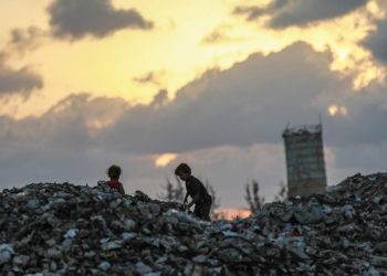 DSÖ: Gazze'de ateşkesin kabul edilmesi milyonlarca Filistinliye umut oldu